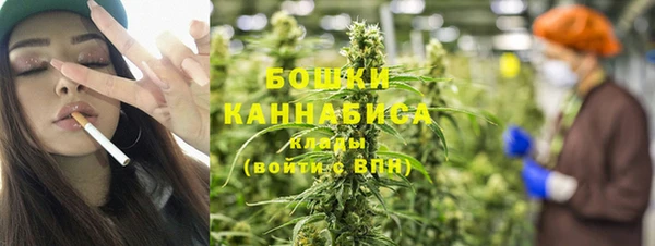 PSILOCYBIN Беломорск