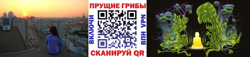 Купить Свободный Псилоцибиновые грибы GOLDEN TEACHER