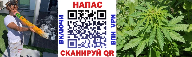 Канабис план  Купить  Свободный 